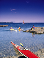Kayakers